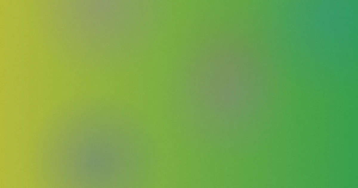 买宝瑶是什么？一篇讲透